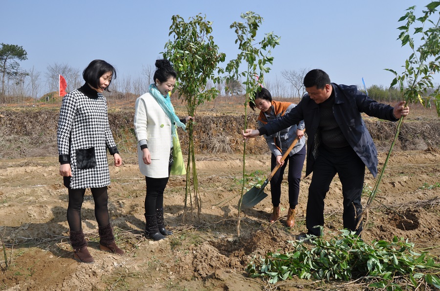 �ߺ�������Э��չ��ɫֲ���